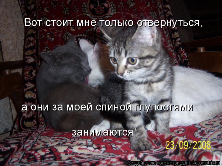 Котоматрица: Вот стоит мне только отвернуться, а они за моей спиной глупостями занимаются!