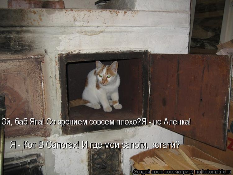 Котоматрица: Я - Кот В Сапогах! И где мои сапоги, кстати? Эй, баб Яга! Со зрением совсем плохо?Я - не Алёнка!