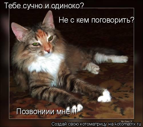 Котоматрица: Тебе сучно и одиноко? Не с кем поговорить? Позвониии мне!!!