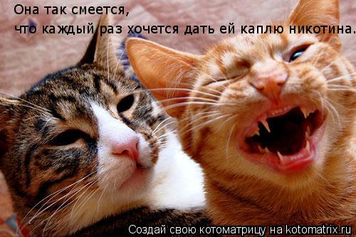 Котоматрица: Она так смеется,  что каждый раз хочется дать ей каплю никотина.