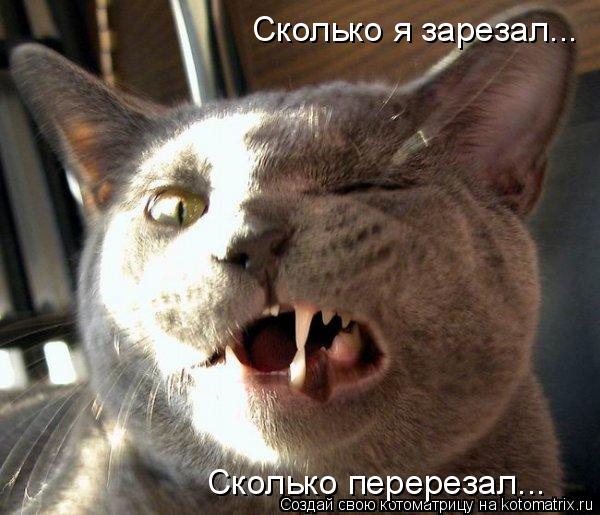 Котоматрица: Сколько я зарезал... Сколько перерезал...