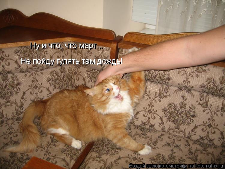 Котоматрица: Ну и что, что март ... Не пойду гулять там дождь!