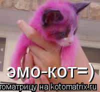 эмо-кот=)... Котоматрица: эмо-кот=)