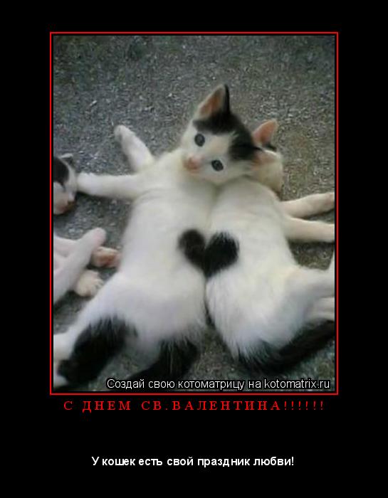 Котоматрица: С   Д Н Е М   С В . В А Л Е Н Т И Н А ! ! ! ! ! ! 