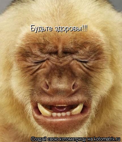 Котоматрица: Будьте здоровы!!!