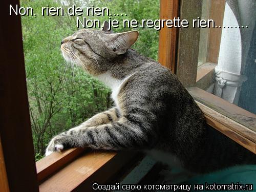 Котоматрица: Non, rien de rien..... Non, je ne regrette rien.........