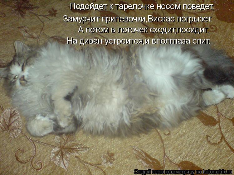 Котоматрица: Подойдет к тарелочке,носом поведет, Замурчит припевочки,Вискас погрызет. А потом в лоточек сходит,посидит, На диван устроится,и вполглаза с