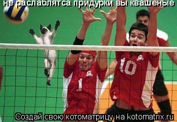 не раслаблятса придурки вы квашеные... Котоматрица: не раслаблятса придурки вы квашеные
