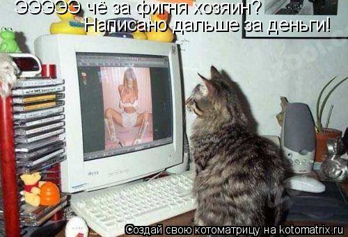 Котоматрица: ЭЭЭЭЭ чё за фигня хозяин? Написано дальше за деньги!