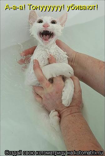 А-а-а! Тонуууууу! убивают!... Котоматрица: А-а-а! Тонуууууу! убивают!