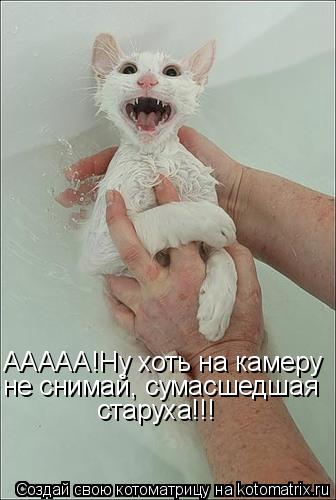 Котоматрица: ААААА!Ну хоть на камеру не снимай, сумасшедшая старуха!!!