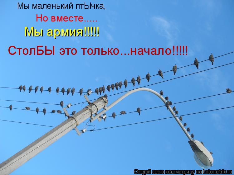 Мы маленький птЫчка, Мы маленький птЫчка, Но вместе..... СтолБЫ это только...начало!!!!! Мы армия!!!!... Котоматрица: Мы маленький птЫчка, Мы маленький птЫчка, Но вместе..... СтолБЫ это только...начало!!!!! Мы армия!!!!!