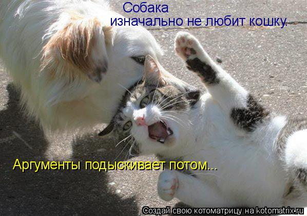 Котоматрица: Собака  изначально не любит кошку. Аргументы подыскивает потом...