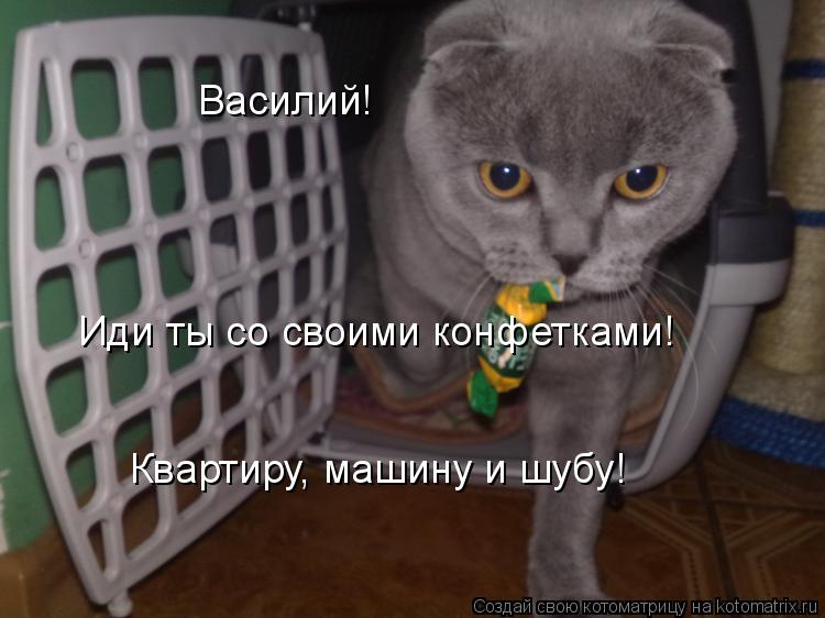 Котоматрица: Василий! Иди ты со своими конфетками! Квартиру, машину и шубу!