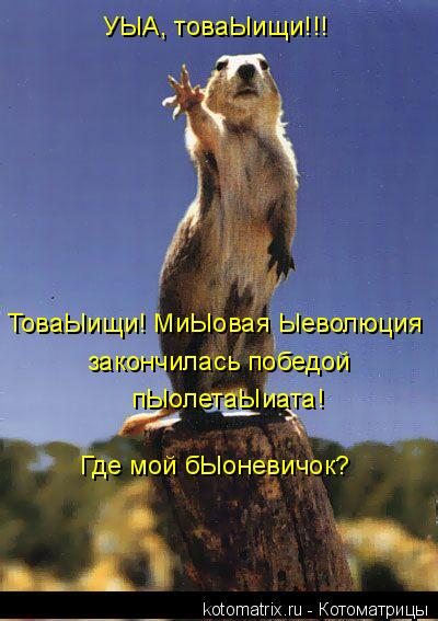 Котоматрица: ТоваЫищи! МиЫовая Ыеволюция закончилась победой пЫолетаЫиата! УЫА, товаЫищи!!! Где мой бЫоневичок?