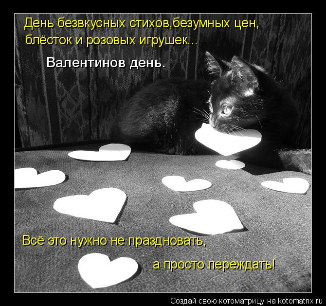 Котоматрица: День безвкусных стихов,безумных цен, блёсток и розовых игрушек... Валентинов день. Всё это нужно не праздновать, а просто переждать!