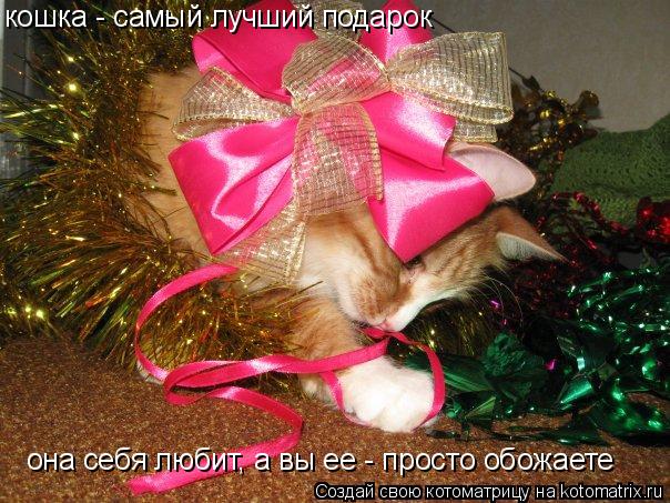 Котоматрица: кошка - самый лучший подарок она себя любит, а вы ее - просто обожаете