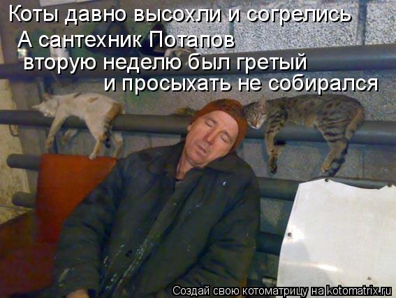 Коты давно высохли и согрелись А сантехник Потапов вторую неделю был гретый и просыхать не собирался... Котоматрица: Коты давно высохли и согрелись А сантехник Потапов вторую неделю был гретый и просыхать не собирался