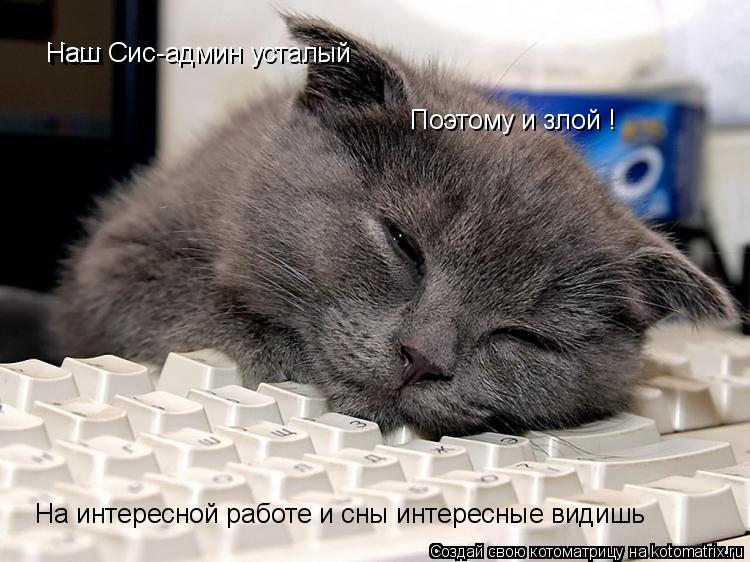 Котоматрица: Наш Наш Сис-админ усталый Поэтому и злой !