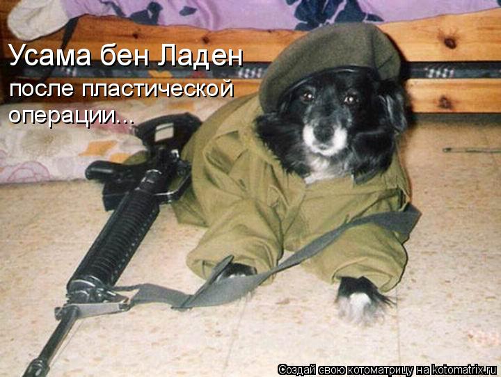 Усама бен Ладен после пластической операции...... Котоматрица: Усама бен Ладен после пластической операции...