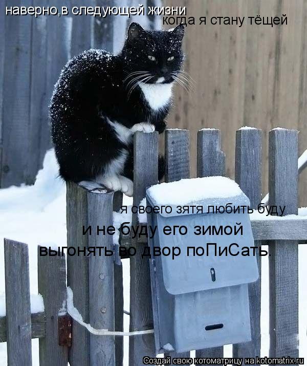 наверно,в следующей жизни когда я стану тёщей я своего зятя любить буду и не буду его зимой выгонять... Котоматрица: наверно,в следующей жизни когда я стану тёщей я своего зятя любить буду и не буду его зимой выгонять во двор поПиСать.