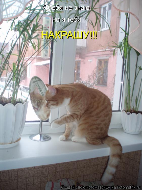 Котоматрица: НАКРАШУ!!! но я тебя Я тебя не знаю,