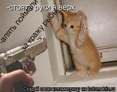 -стоять руки в верх -апять поймали за кражу рыбы, за кражу рыбы,... Котоматрица: -стоять руки в верх -апять поймали за кражу рыбы, за кражу рыбы,
