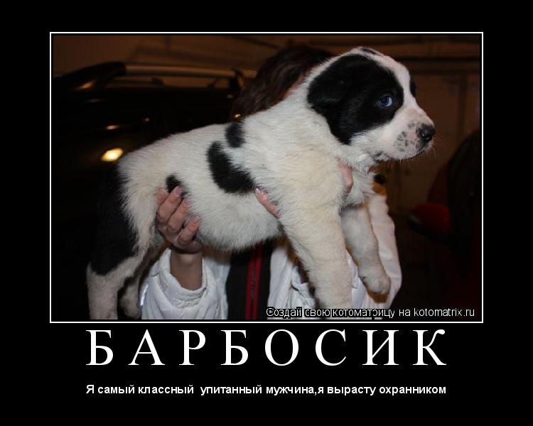 Котоматрица: Б А Р Б О С И К 