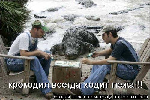 Котоматрица: крокодил всегда ходит лежа!!!