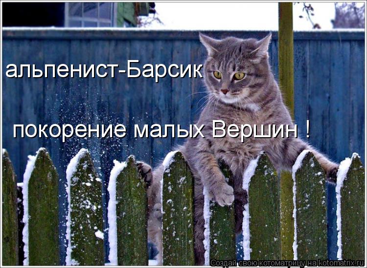 Котоматрица: альпенист-Барсик покорение малых Вершин !