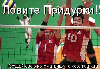 Ловите Придурки!!!! :)... Котоматрица: Ловите Придурки!!!! :)