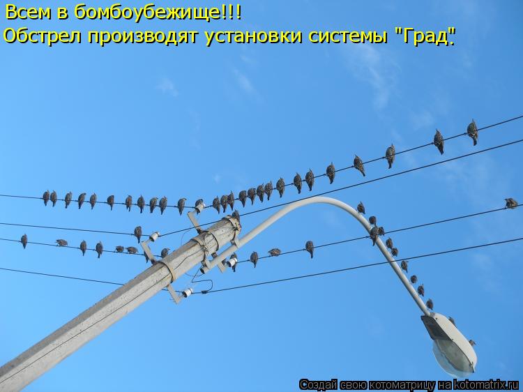 Всем в бомбоубежище!!! Обстрел производят установки системы "Град" .... Котоматрица: Всем в бомбоубежище!!! Обстрел производят установки системы "Град" .