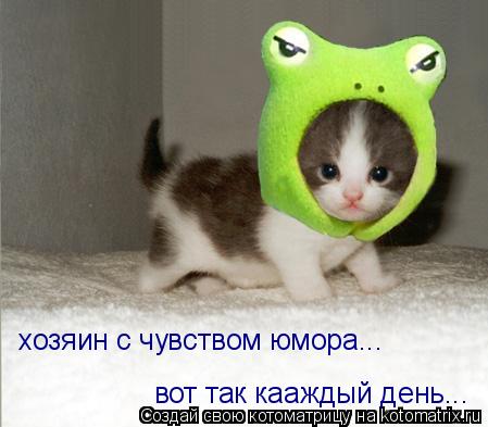 вот так кааждый день... хозяин с чувством юмора...... Котоматрица: вот так кааждый день... хозяин с чувством юмора...