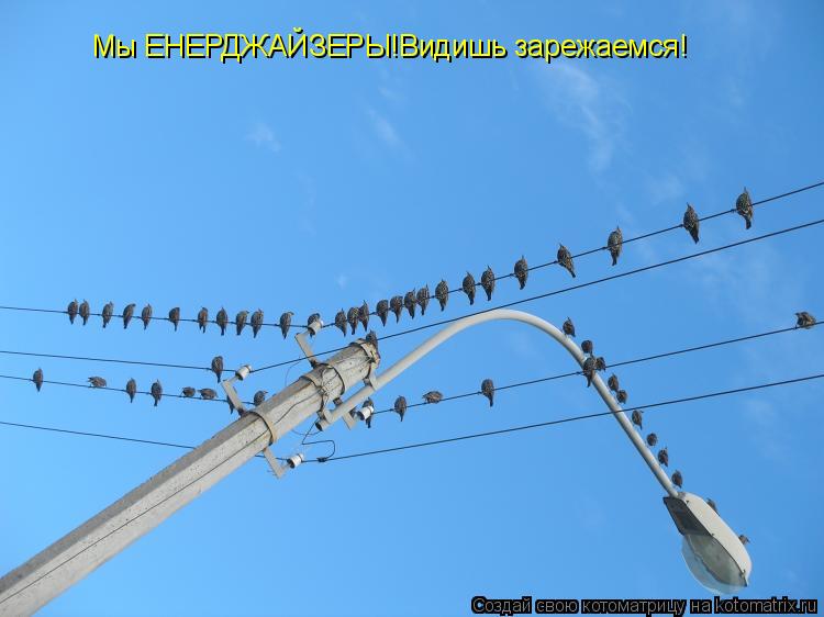 Мы ЕНЕРДЖАЙЗЕРЫ!Видишь зарежаемся!... Котоматрица: Мы ЕНЕРДЖАЙЗЕРЫ!Видишь зарежаемся!
