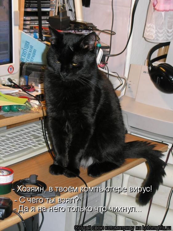 Котоматрица: - Хозяин, в твоём компъютере вирус! - С чего ты взял? - Да я на него только что чихнул...