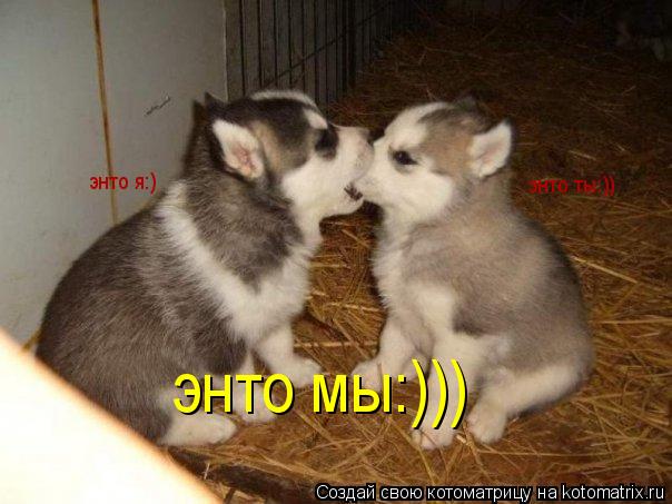 энто я:) энто ты:)) энто мы:)))... Котоматрица: энто я:) энто ты:)) энто мы:)))