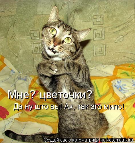 Котоматрица: Мне? цветочки? Да ну што вы! Ах, как это мило!