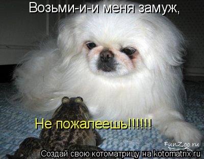 Котоматрица: Возьми-и-и меня замуж, Не пожалеешь!!!!!!