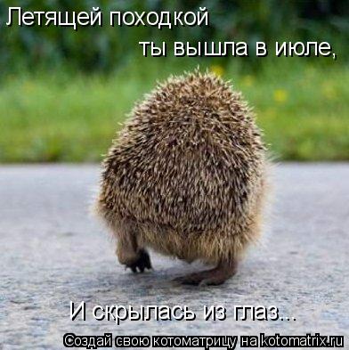 Котоматрица: Летящей походкой ты вышла в июле, И скрылась из глаз...