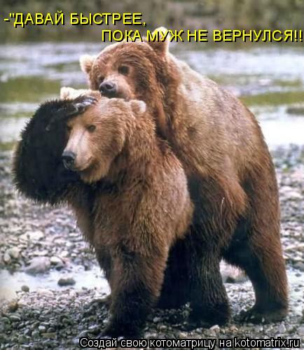 Котоматрица: -"ДАВАЙ БЫСТРЕЕ, ПОКА МУЖ НЕ ВЕРНУЛСЯ!!!"