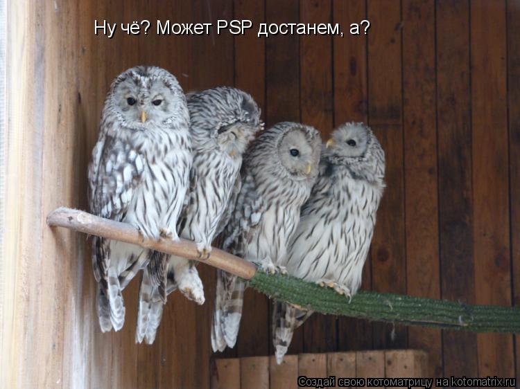 Котоматрица: Ну чё? Может PSP достанем, а?