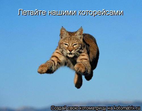 Котоматрица: Летайте нашими которейсами