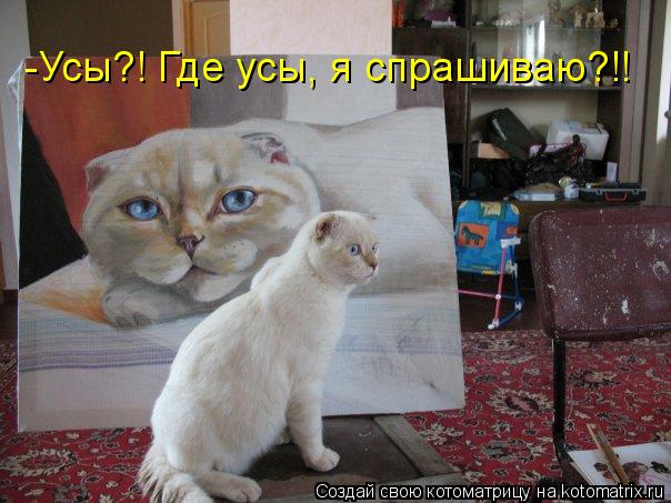 Котоматрица: -Усы?! Где усы, я спрашиваю?!!