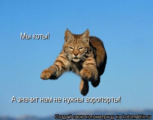 Котоматрица: Мы коты, всегда делаем зарядку утром Мы коты! А значит нам не нужны аэропорты!