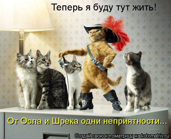 Котоматрица: Теперь я буду тут жить! От Осла и Шрека одни неприятности...