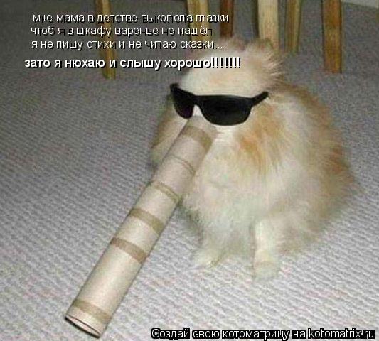 Котоматрица: мне мама в детстве выколола глазки чтоб я в шкафу варенье не нашёл я не пишу стихи и не читаю сказки... зато я нюхаю и слышу хорошо!!!!!!!