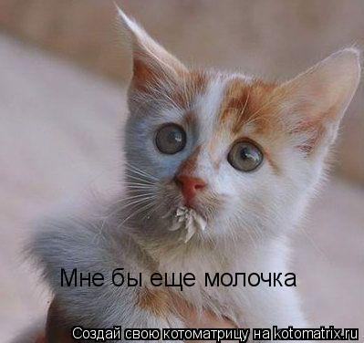 Котоматрица: Мне бы еще молочка