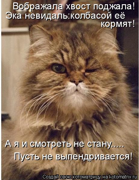 Котоматрица: Эка невидаль:колбасой её  Вображала хвост поджала! кормят! А я и смотреть не стану..... Пусть не выпендривается!