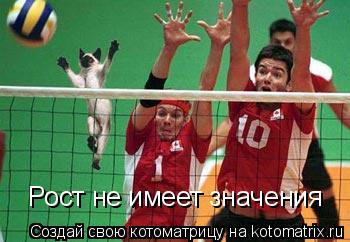 Рост не имеет значения... Котоматрица: Рост не имеет значения