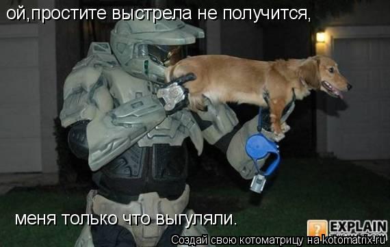 Котоматрица: ой,простите выстрела не получится, меня только что выгуляли.
